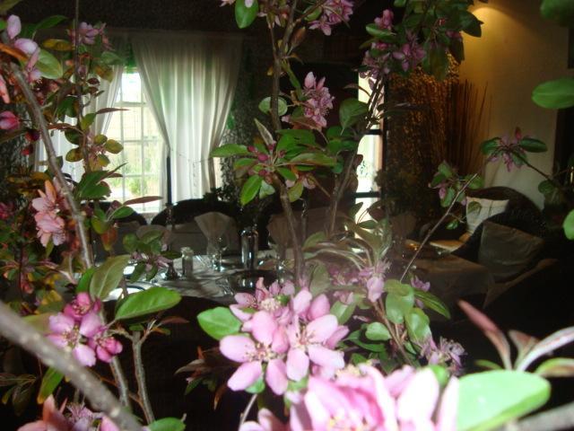 44 On Ennis Guest Lodge And Restaurant - No Load Sheddding Ermelo Εξωτερικό φωτογραφία